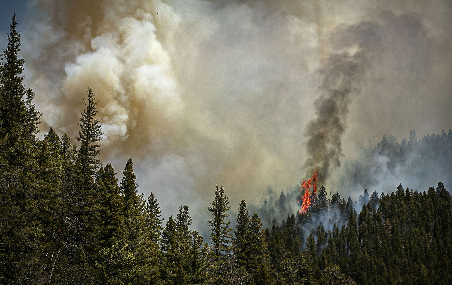 051222 jw fire predict3.jpg